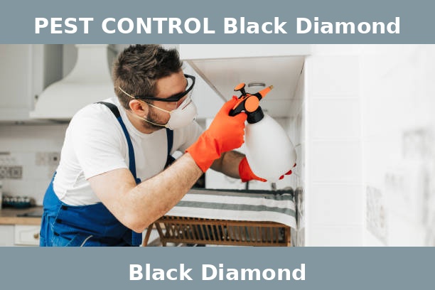 PEST CONTROL Black Diamond